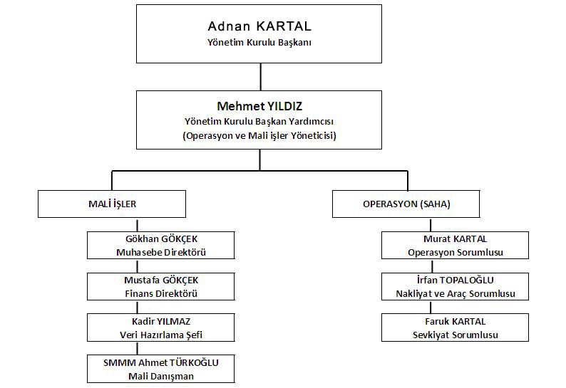 Çintaş Organizasyon Şeması